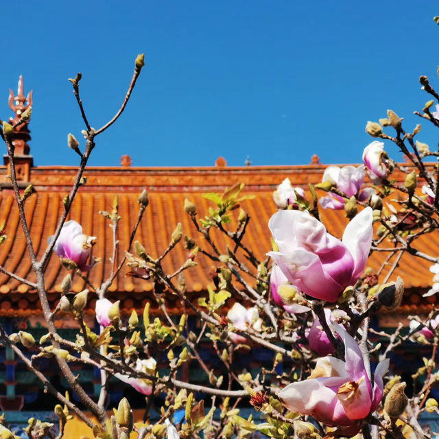 「曼谷景點:普門報恩寺,嘆為觀止」|Trip.com 曼谷