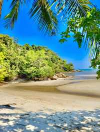 Penang National Park 