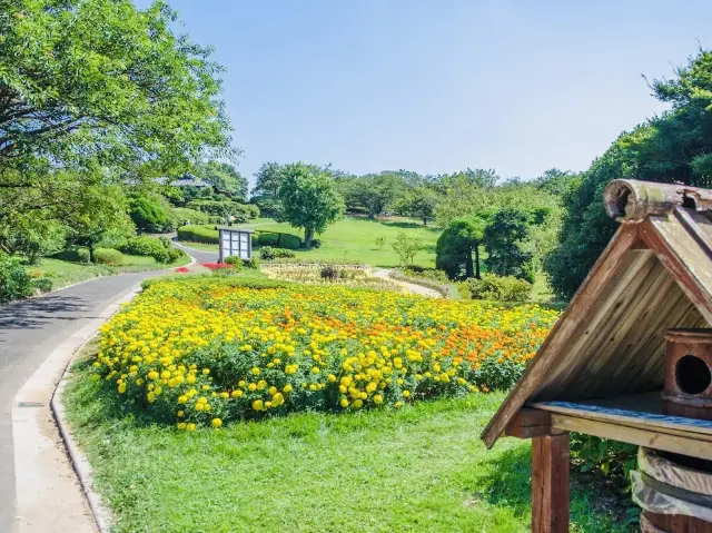 후쿠오카의 숨겨진 보석 같은 공원이 아닙니다.