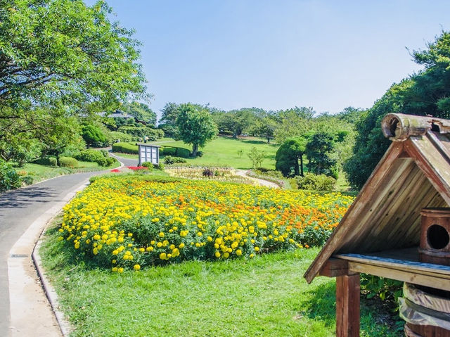 Not just a park but a hidden gem in Fukuoka