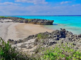 Terasaki Beach • Tumai 