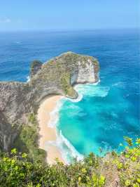 【ペニダ島🇮🇩】バリ島から日帰りで行ける絶景アイランド