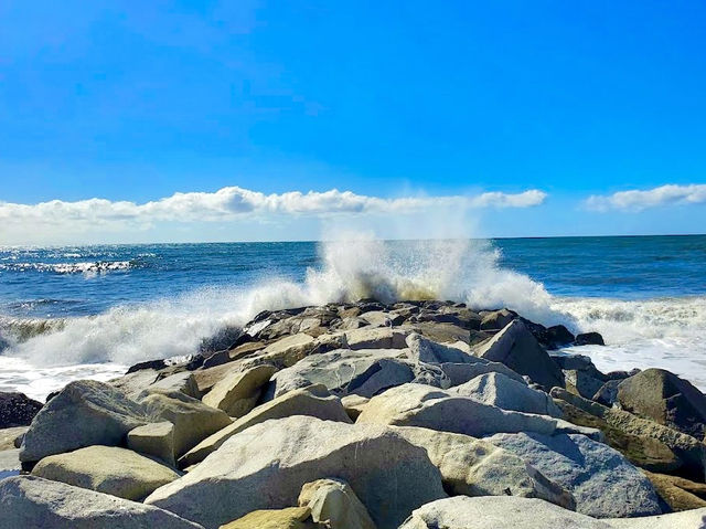 Will Rogers State Beach