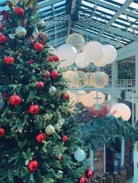 겨울에는 온실카페에서 데이트를! 연말엔 더 예뻐🎄