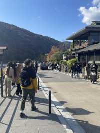 Arashiyama 🌳✨