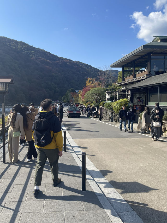 Arashiyama 🌳✨