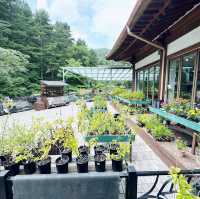 Gardening Shop Cafe @ Garden of Morning Calm🇰🇷