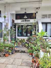 The Intan