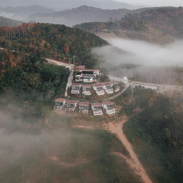 Caligo Resort สุราษฎร์ธานี