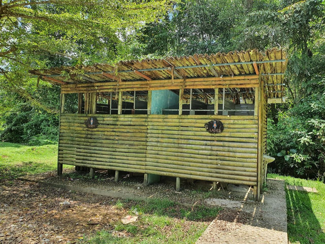 Air Panas Paku ( Paku Hotspring )