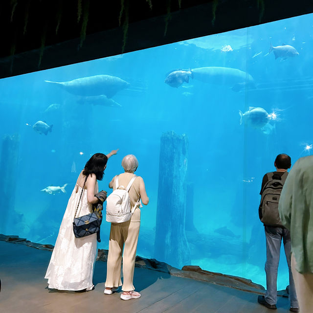 River Wonders Celebrating 10th Anniversary 
