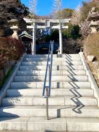 【貫井神社/東京都】湧水流れる美しい境内