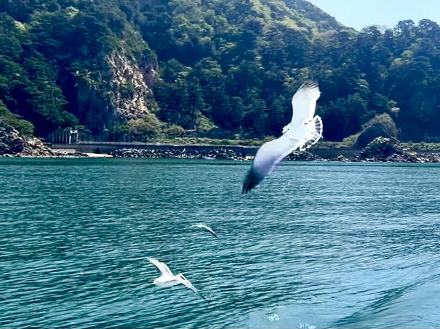 Ferry ride along sasagawa nagare 