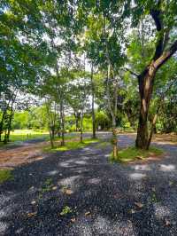 ธรี วิเวอร์ แคมป์ปิ้ง🌳⛺️