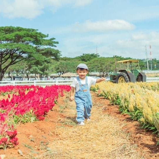 Farm Chokchai ไปที่เดียวได้รูปกลับมาเป็นร้อย