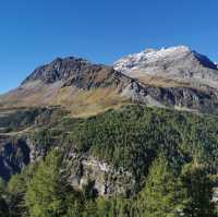 View from Bernina Express