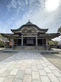 【2024桜】成長が楽しみ大阪豊國神社と醍醐の桜