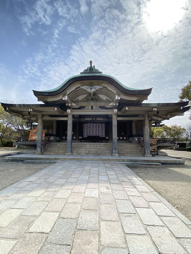 【2024桜】成長が楽しみ大阪豊國神社と醍醐の桜