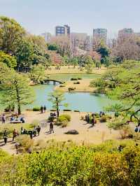 東京で見られるしだれ桜