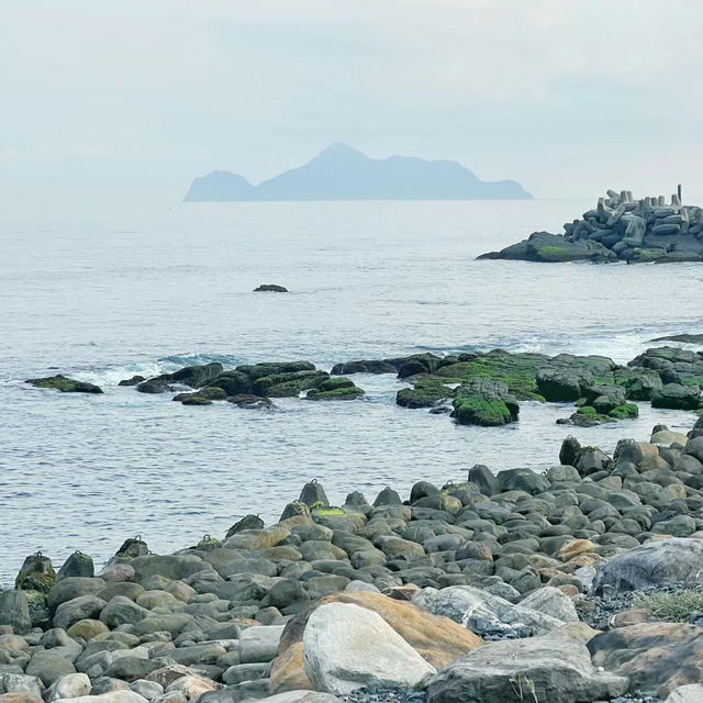 岡田漁港：海鮮美食之旅，物超所值