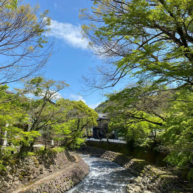 金山彥神社：歷史魅力，自然環境