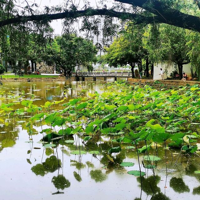 洪湖公園