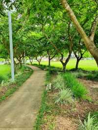 Cairns Esplanade Charles Street Parkland