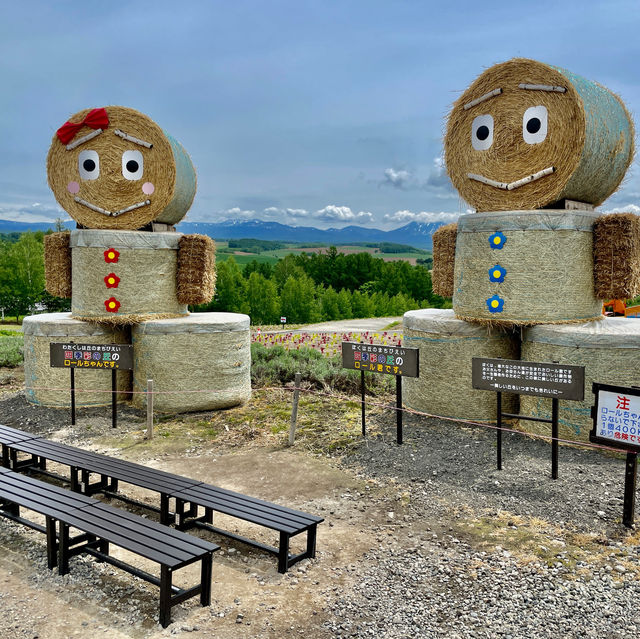 Panoramic Flower Gardens Shikisai-no-oka