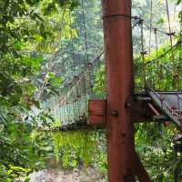 Danum Valley
