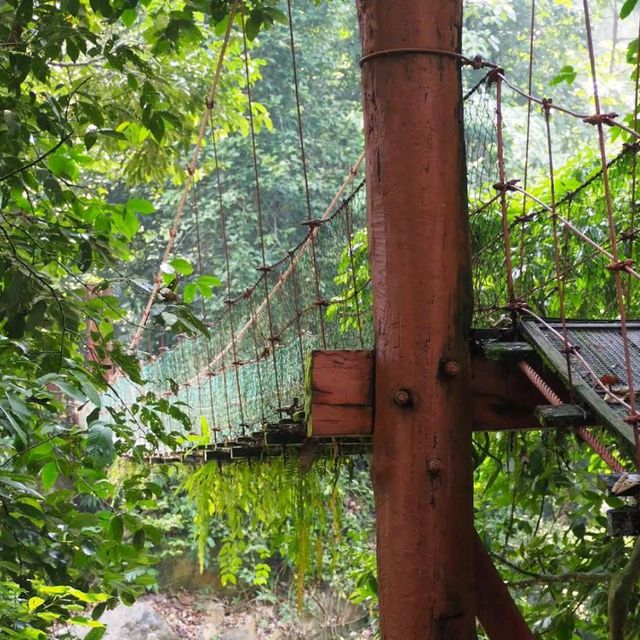 Danum Valley