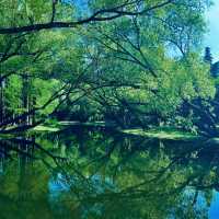 廣州流花湖公園：湖光山色，適合漫步欣賞