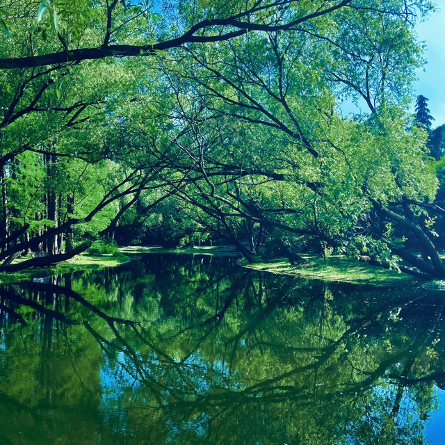 廣州流花湖公園：湖光山色，適合漫步欣賞