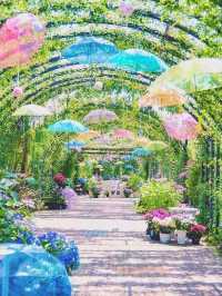 橫濱市中的秘密花園YOKOHAMA ENGLISH GARDEN