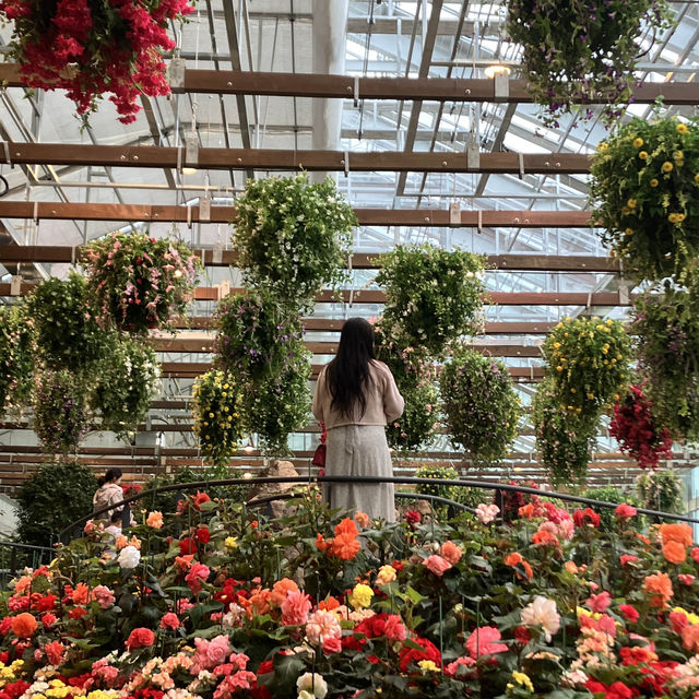 유명해지기전에 다녀와야할 가평 신상핫플🌷