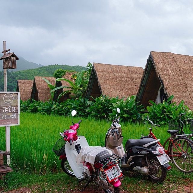 ⛺️ สะปัน คีรี แคมป์ โฮมสเตย์กลางธรรมชาติ