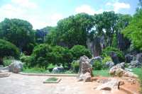 Stone Forest, The Wonder under the Heaven