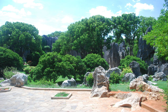 Stone Forest, The Wonder under the Heaven