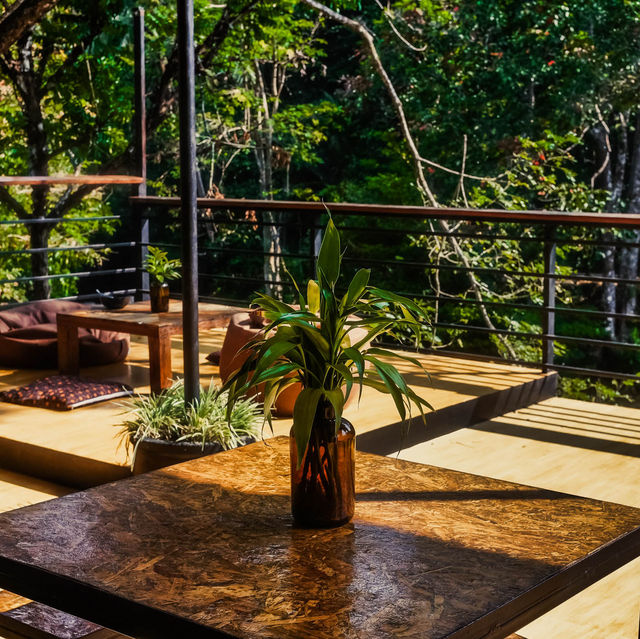 OASIS Forest Garden โฮมสเตย์ 