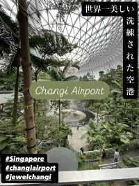 【チャンギ空港】世界一美しい／洗練された空港／シンガポール