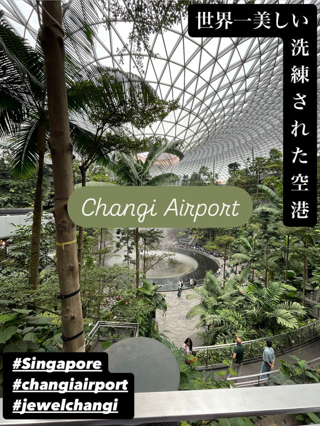 【チャンギ空港】世界一美しい／洗練された空港／シンガポール