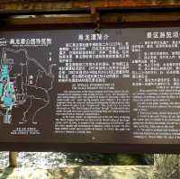 Reflections of Serenity: Black Dragon Pool Park, a Lijiang Gem!