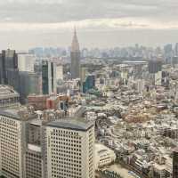 รีวิวโรงแรมดังในญี่ปุ่น: Park Hyatt Tokyo 🏨🇯🇵
