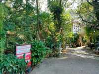 ร้านอาหารร่มรื่นในสวนที่มาสระบุรีต้องแวะ