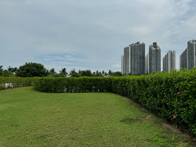 Forest City Maze 🏕️