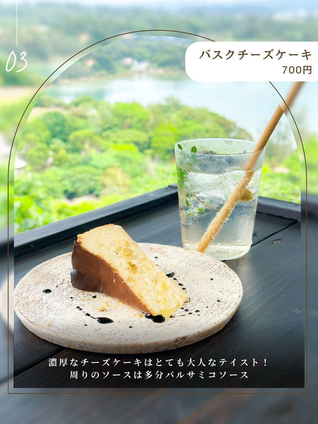 沖縄のやんばるの森を進むと見えてくる、秘密基地🌱
