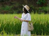 ปู๋ ป๋าล์ คันนา ปัว - Pupah Kanna Pua น่าน