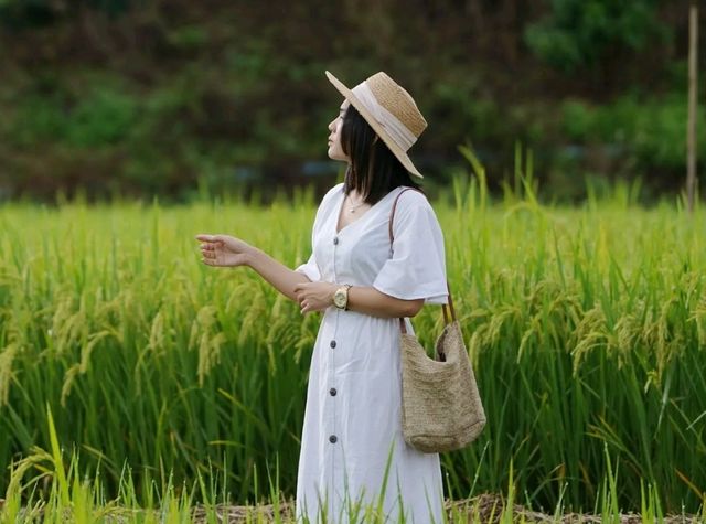 ปู๋ ป๋าล์ คันนา ปัว - Pupah Kanna Pua น่าน