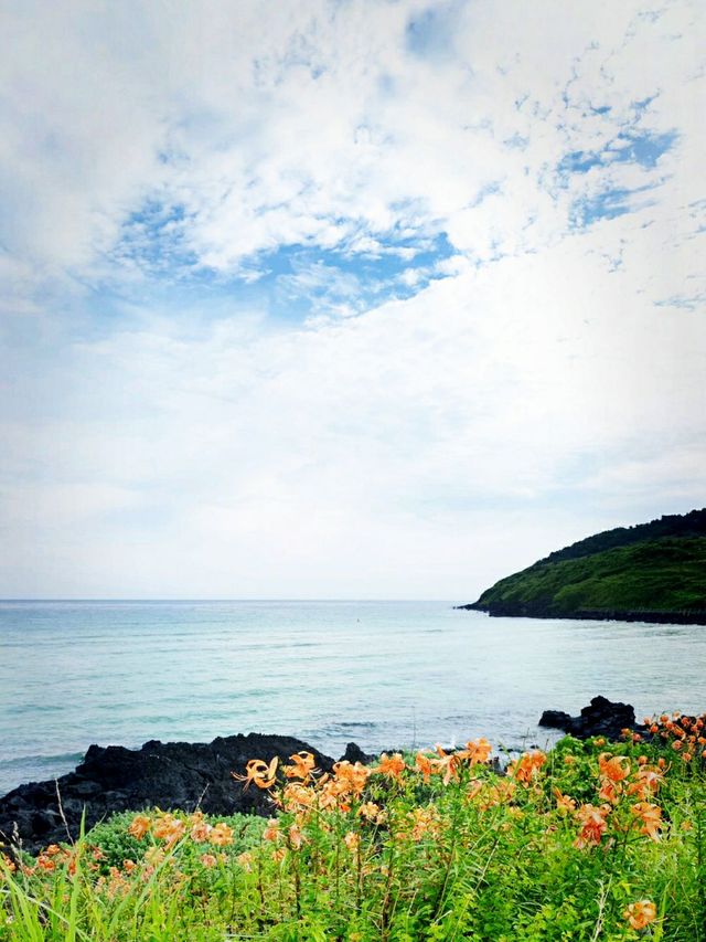 🏖에메랄드빛 해변과 ⛰초록빛 오름의 조화! 함덕해변