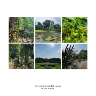 「熱帶雨林奇蹟，夢幻柔美瀑布」半島植物園