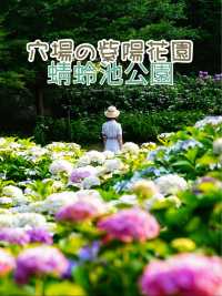 大阪の穴場あじさいスポット☺️💠💐蜻蛉池公園